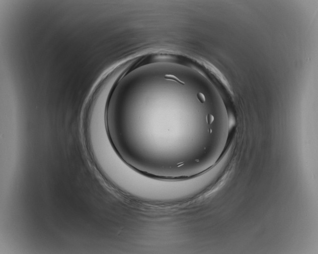 X0000116140981200911231307