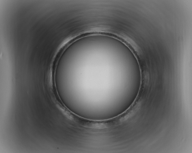 X0000116140982200911231307