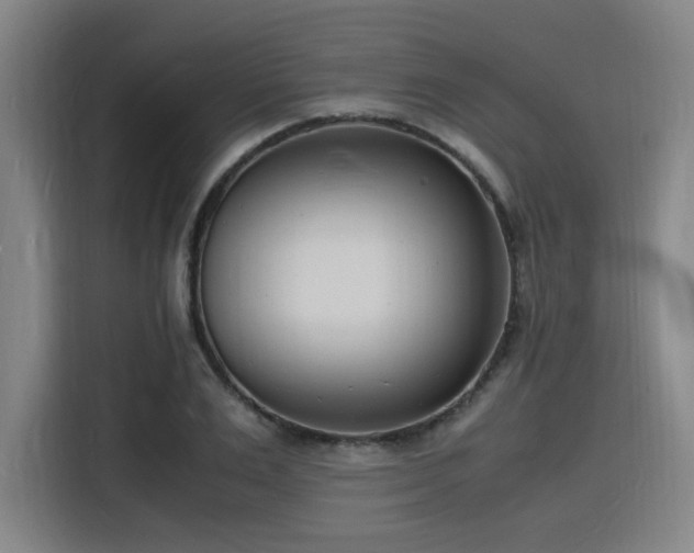 X0000116140983200911231307