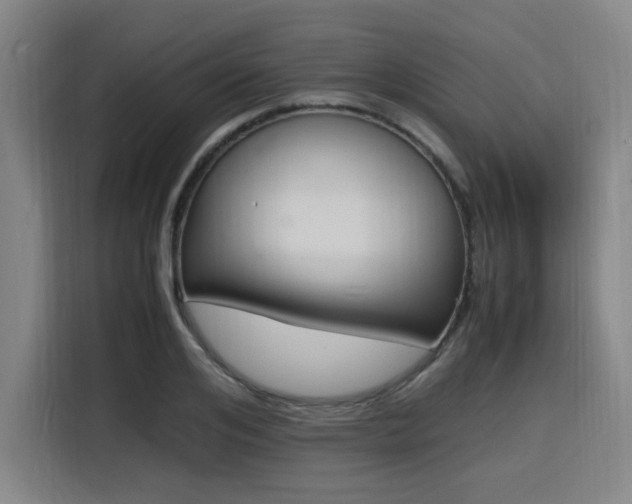 X0000116140984200911231307