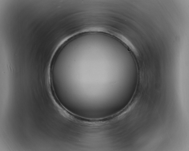 X0000116140988200911231307