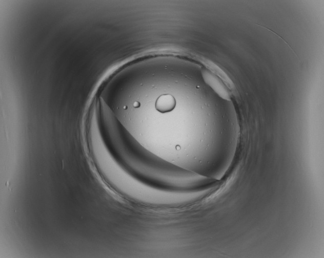 X0000116140989200911231307