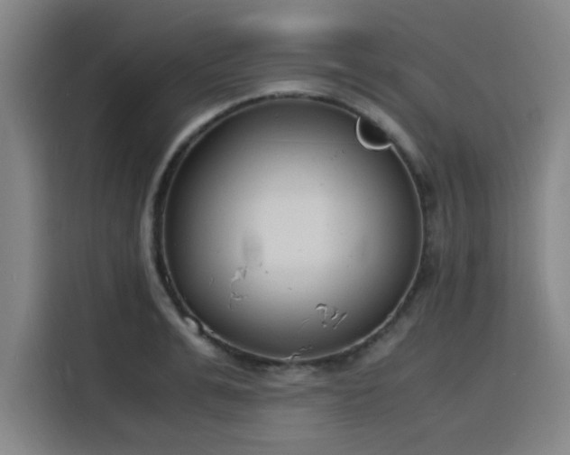 X0000116140991200911231307