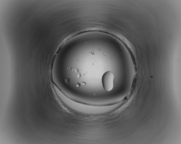 X0000116140993200911231307