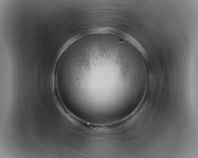X0000116140994200911231307