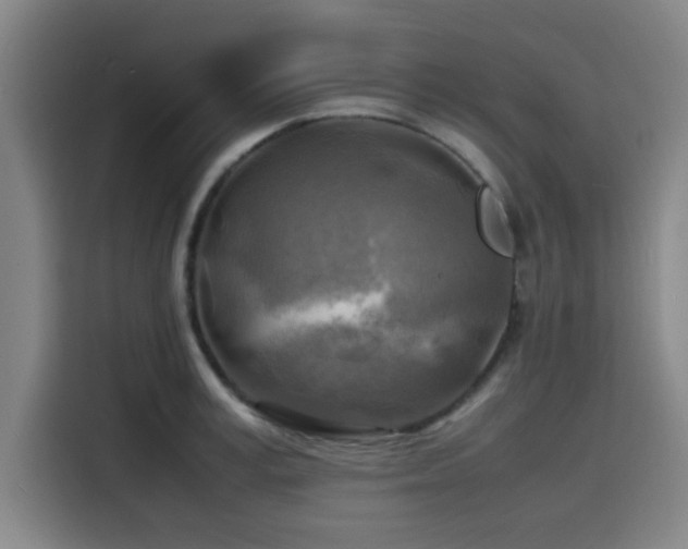 X0000116140995200911231307