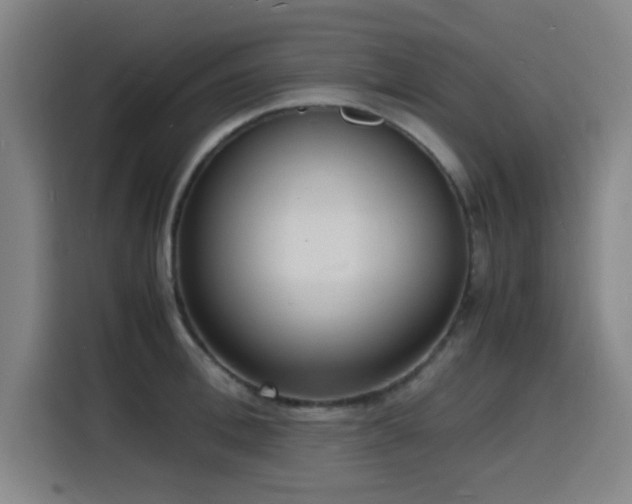 X0000116140996200911231307