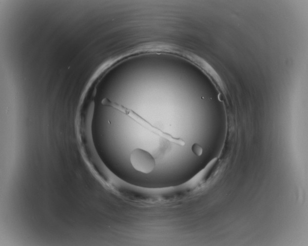 X0000116140997200911231307
