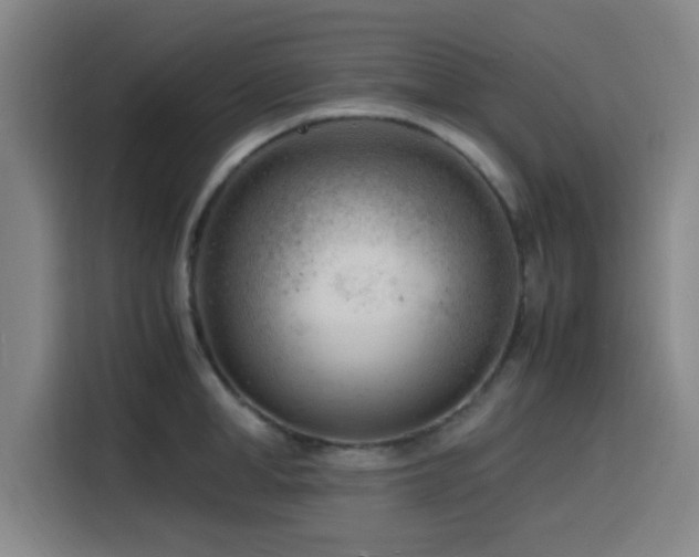 X0000116140998200911231307