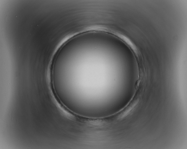 X0000116140999200911231307
