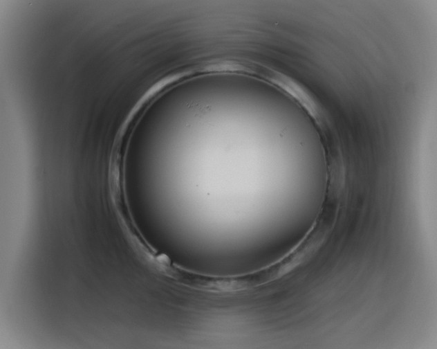 X0000116141000200911231307
