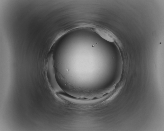 X0000116141001200911231307