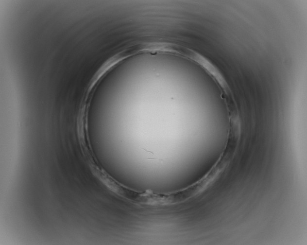 X0000116141002200911231307
