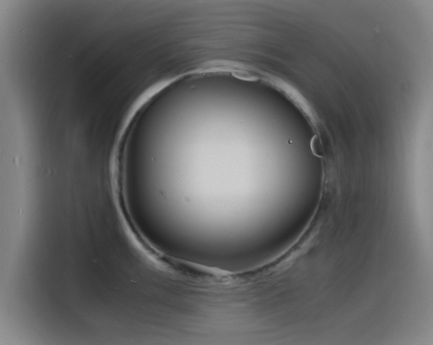 X0000116141003200911231307
