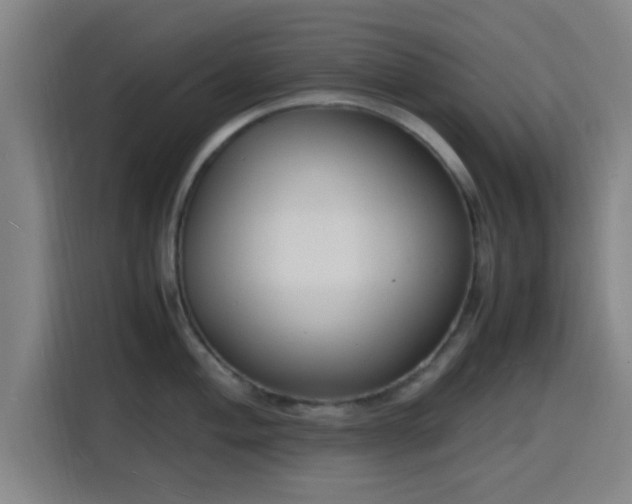 X0000116141004200911231307