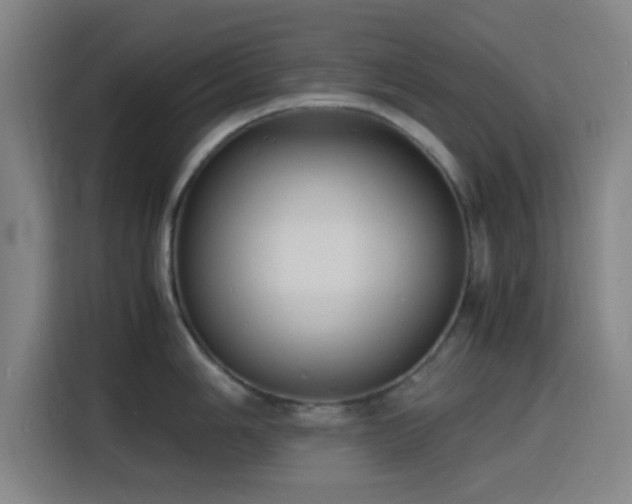 X0000116141006200911231307