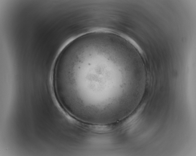 X0000116141007200911231307