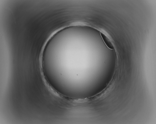 X0000116141008200911231307