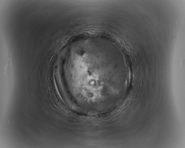 X0000116141009200911231306