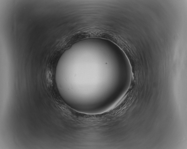 X0000116141010200911231306
