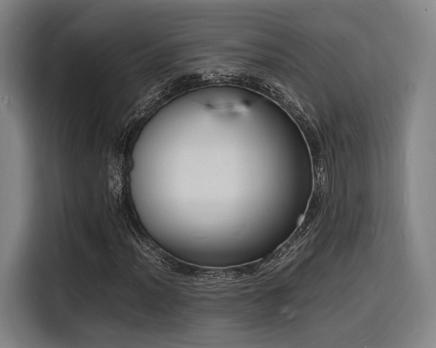 X0000116141012200911231306