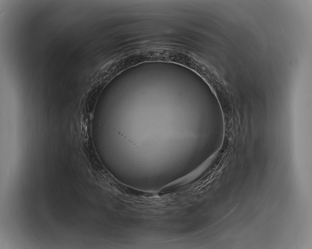 X0000116141013200911231306