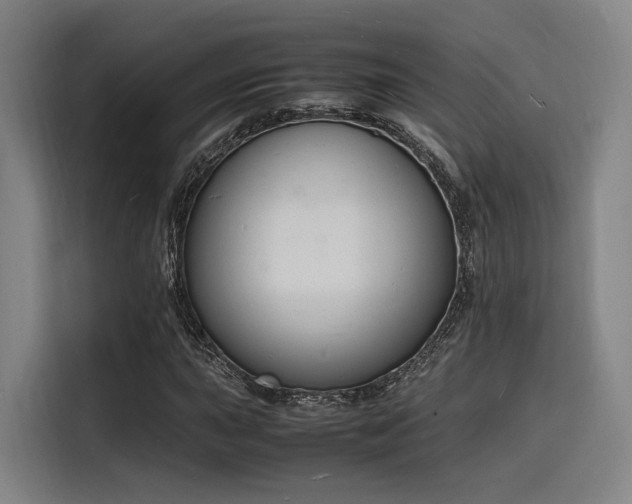 X0000116141015200911231306
