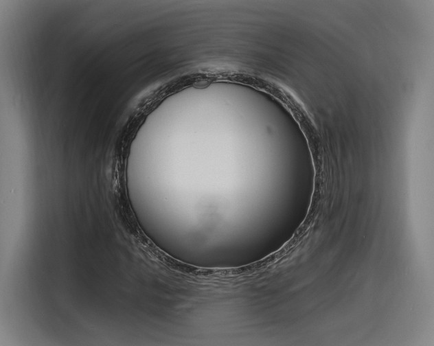 X0000116141016200911231306