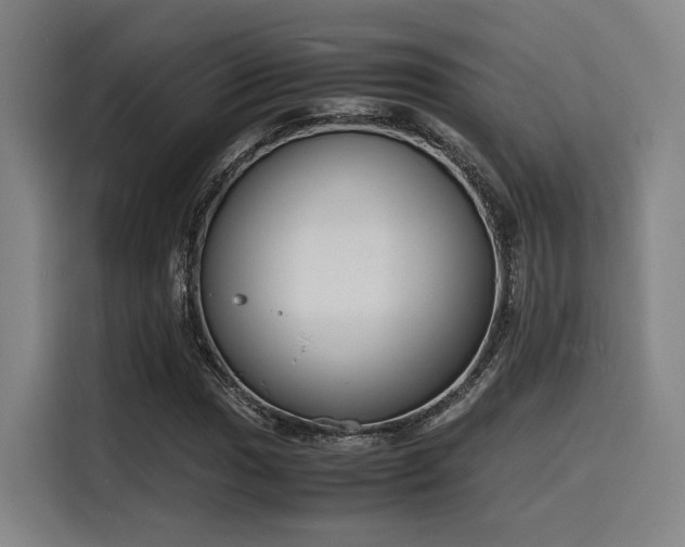 X0000116141017200911231306