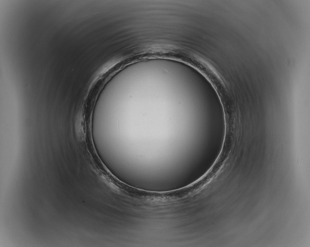 X0000116141018200911231307