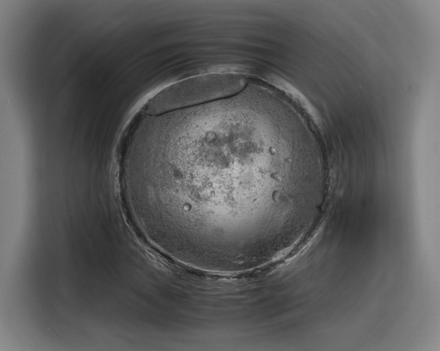 X0000116141019200911231307
