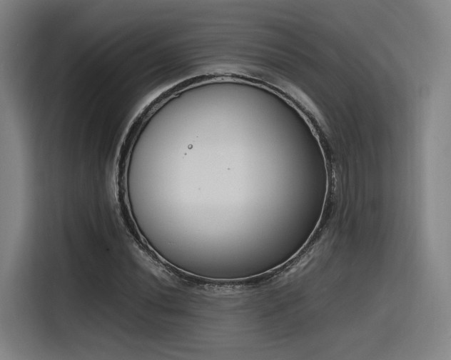 X0000116141020200911231307