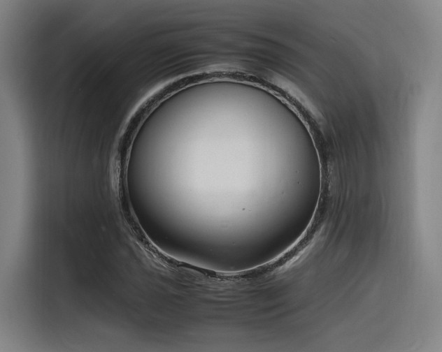 X0000116141021200911231307