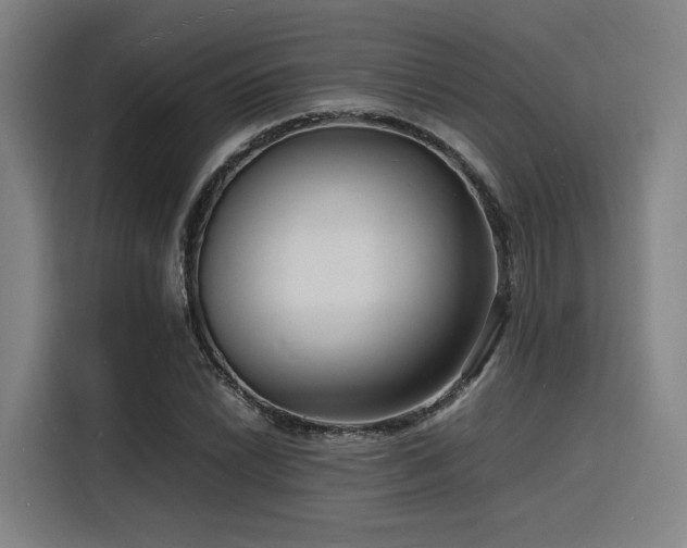 X0000116141022200911231307