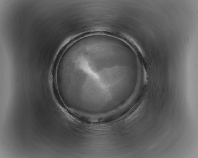 X0000116141024200911231307
