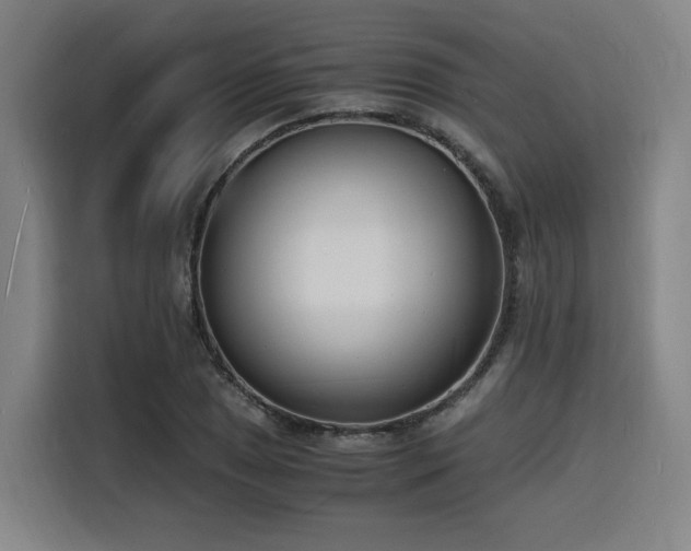 X0000116141025200911231307