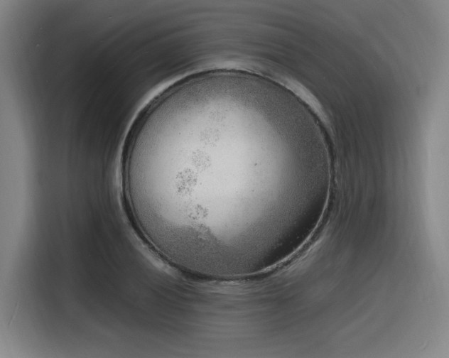 X0000116141028200911231307