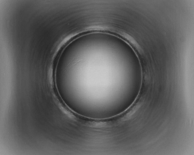 X0000116141030200911231307