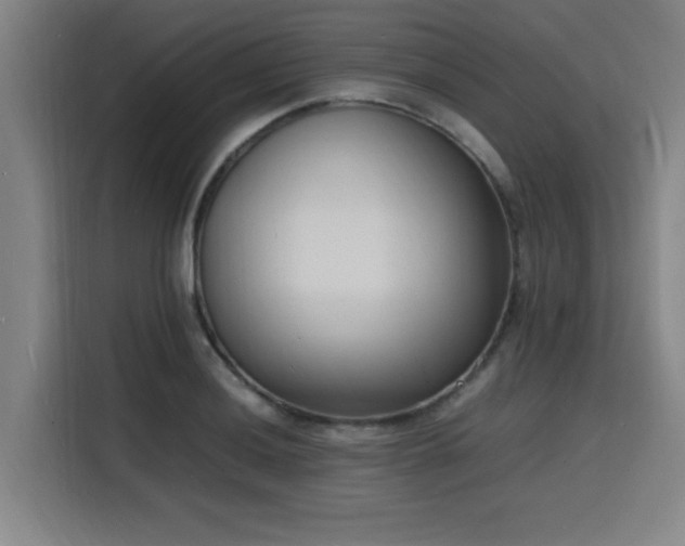 X0000116141036200911231307