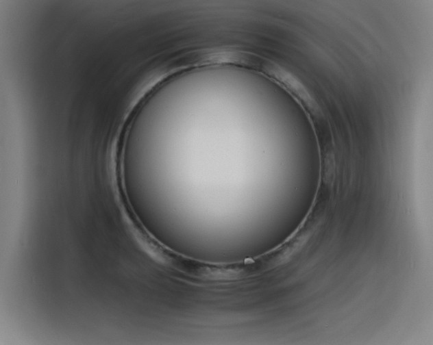 X0000116141039200911231307