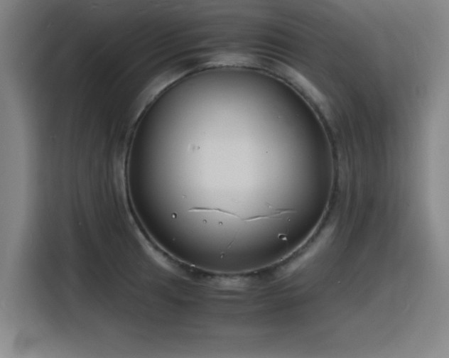 X0000116141041200911231307