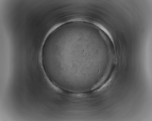 X0000116141045200911231307