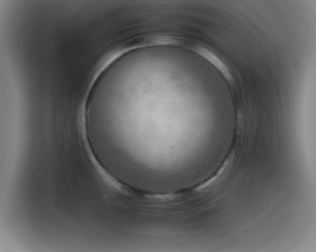 X0000116141047200911231307