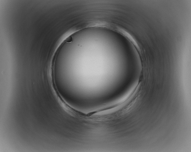 X0000116141050200911231307