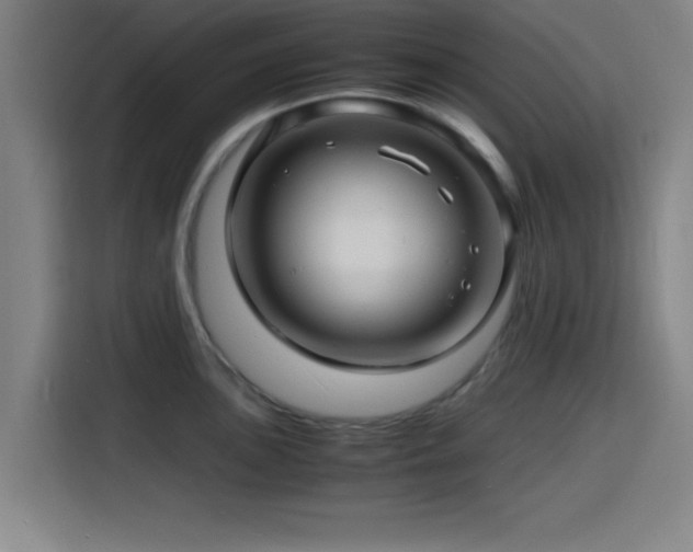 X0000116141051200911231307