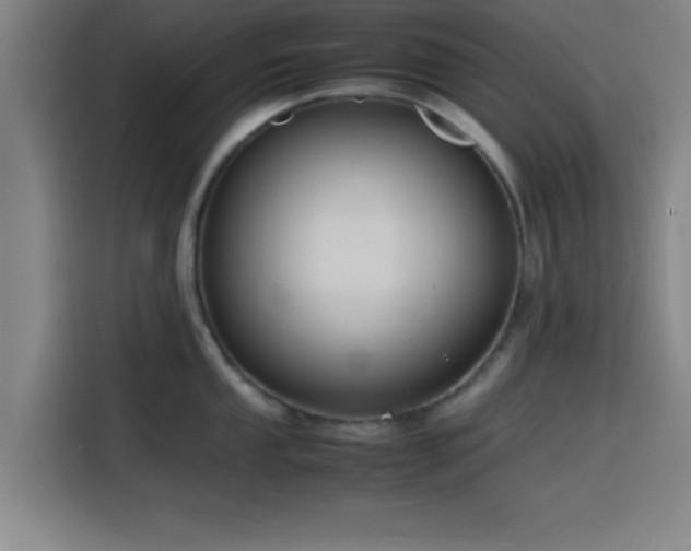 X0000116141053200911231307
