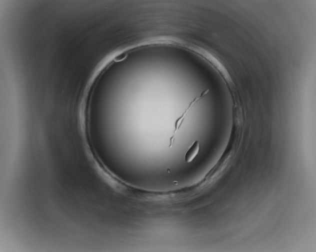 X0000116141054200911231307