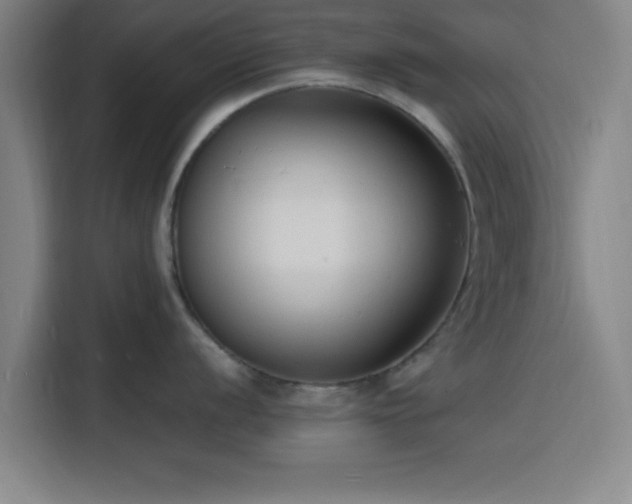 X0000116141056200911231307
