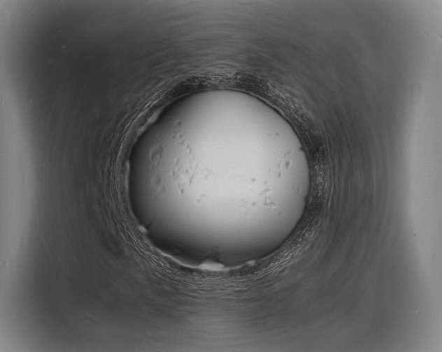 X0000116141057200911231306