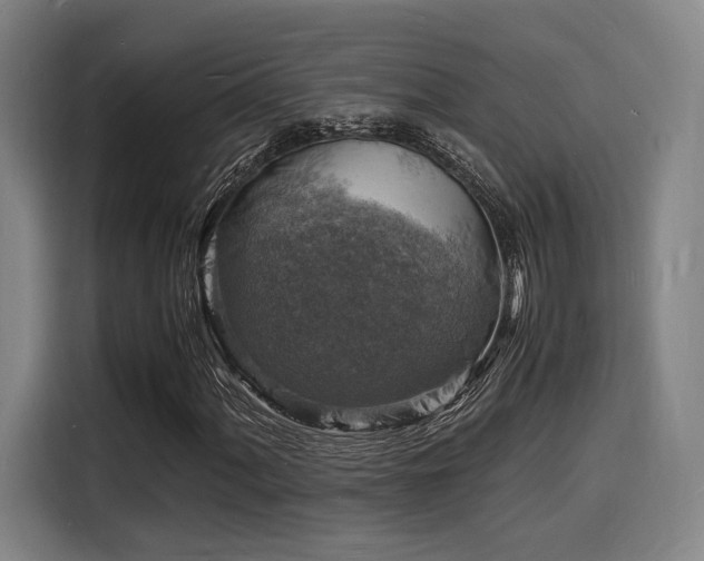X0000116141060200911231306